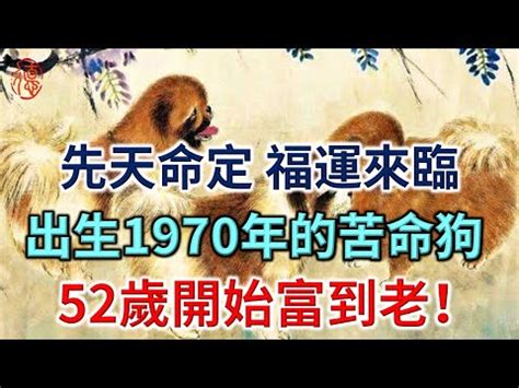 70屬什麼|1970年是什麼生肖？70年生人命運如何？五行屬釵釧。